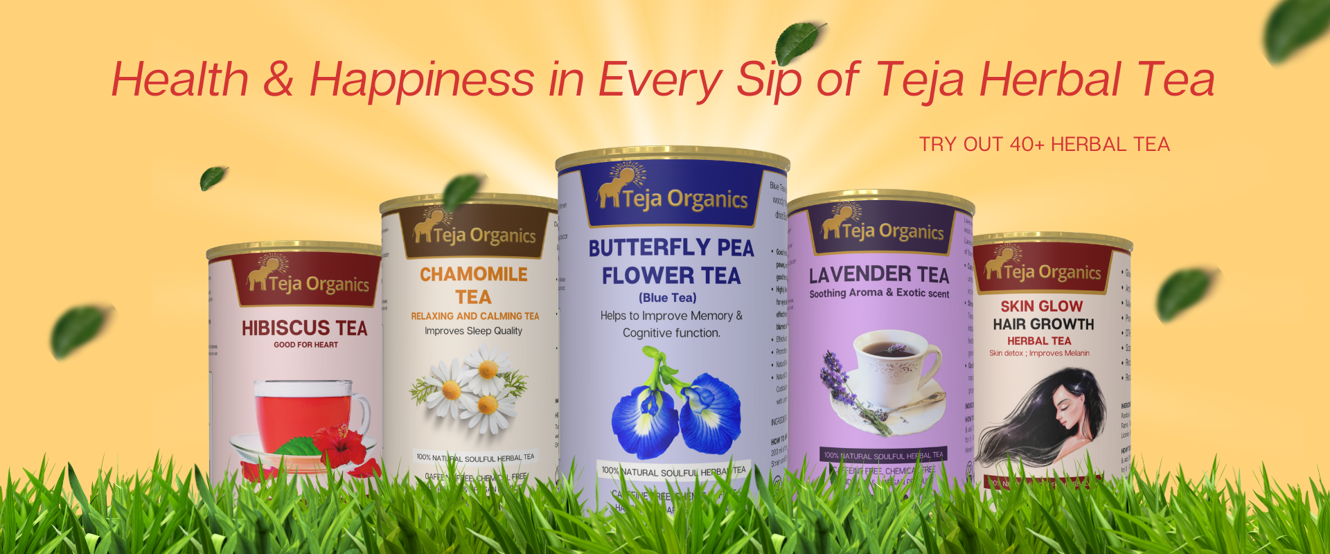 Green Elegant Natural Skincare Product Showcase Promotion Banner (1920 x 800 px)89